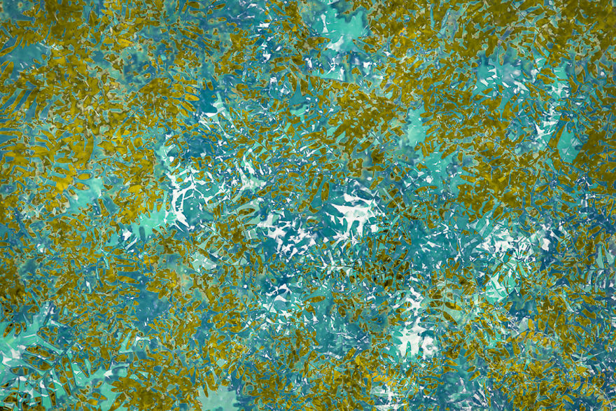 I Capture Layers Of Time In Nature I Capture Layers Of Time In Nature