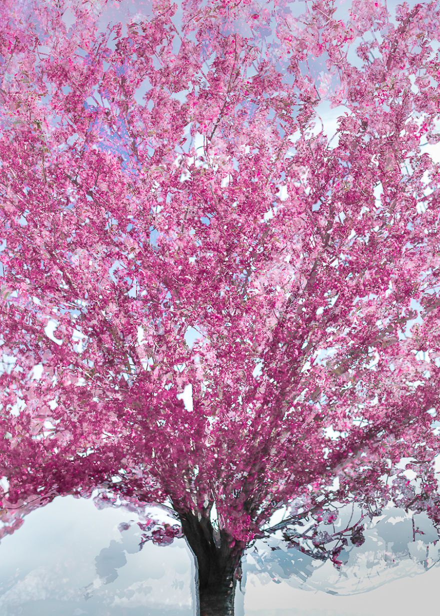 I Capture Layers Of Time In Nature I Capture Layers Of Time In Nature