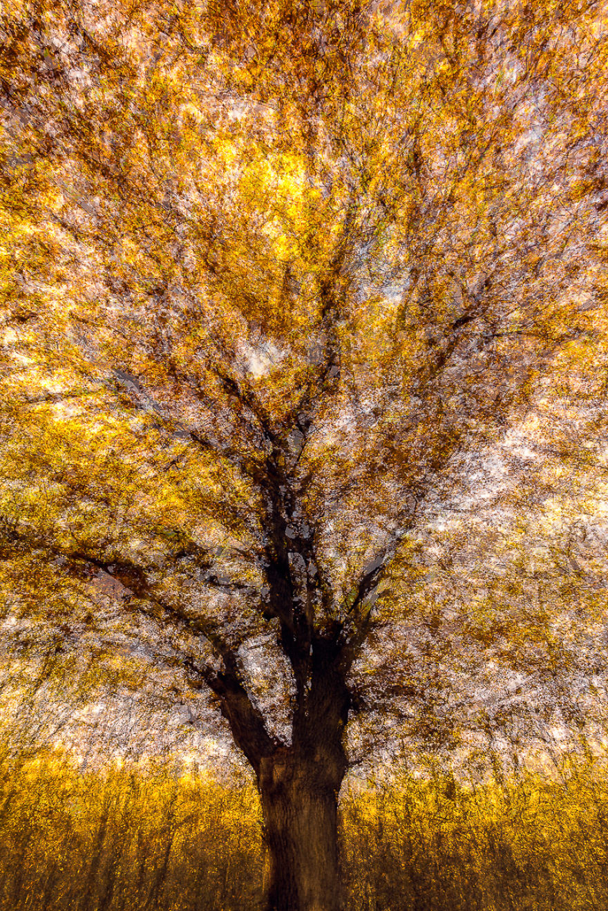 I Capture Layers Of Time In Nature I Capture Layers Of Time In Nature