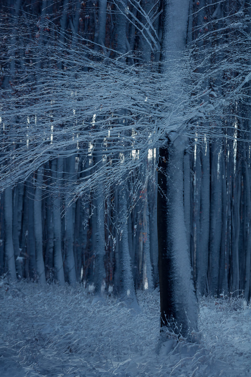 I Capture Layers Of Time In Nature I Capture Layers Of Time In Nature