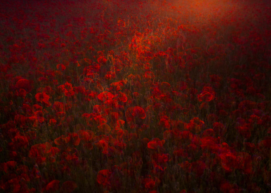 I Capture Layers Of Time In Nature I Capture Layers Of Time In Nature