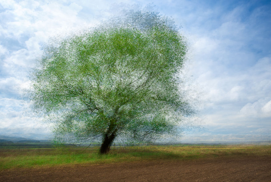 I Capture Layers Of Time In Nature I Capture Layers Of Time In Nature