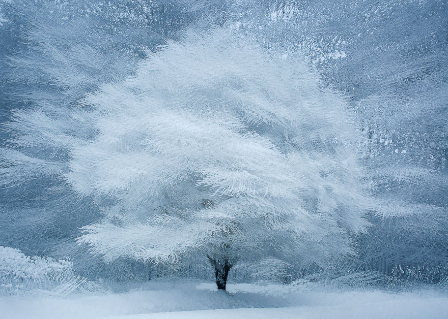 I Capture Layers Of Time In Nature I Capture Layers Of Time In Nature