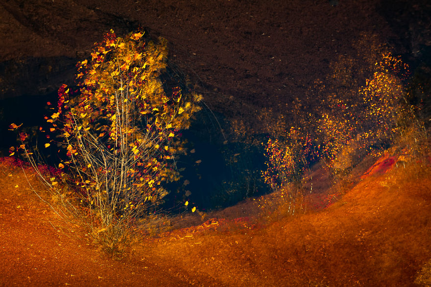 I Capture Layers Of Time In Nature I Capture Layers Of Time In Nature