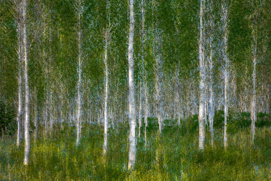 I Capture Layers Of Time In Nature I Capture Layers Of Time In Nature