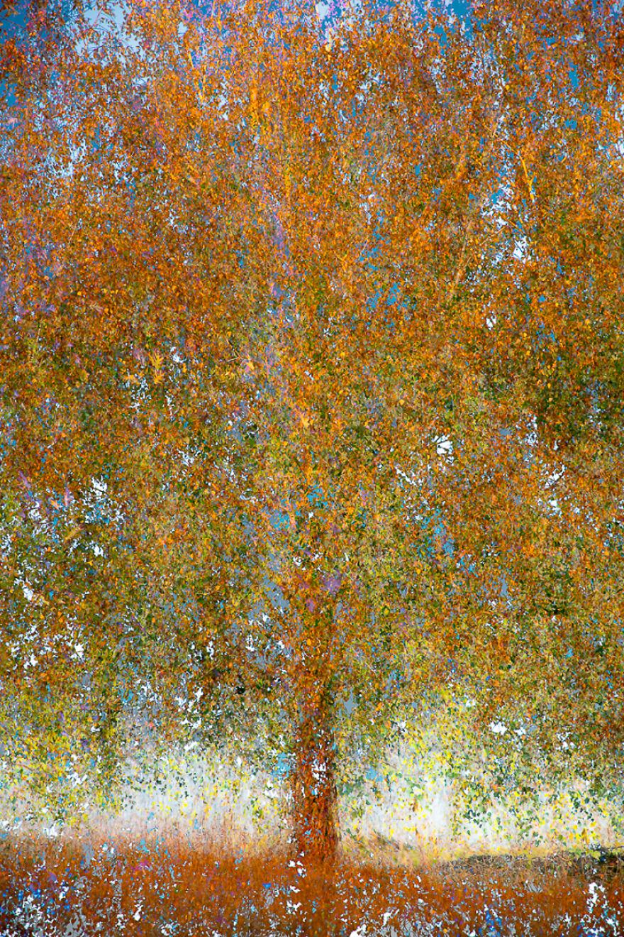 I Capture Layers Of Time In Nature I Capture Layers Of Time In Nature