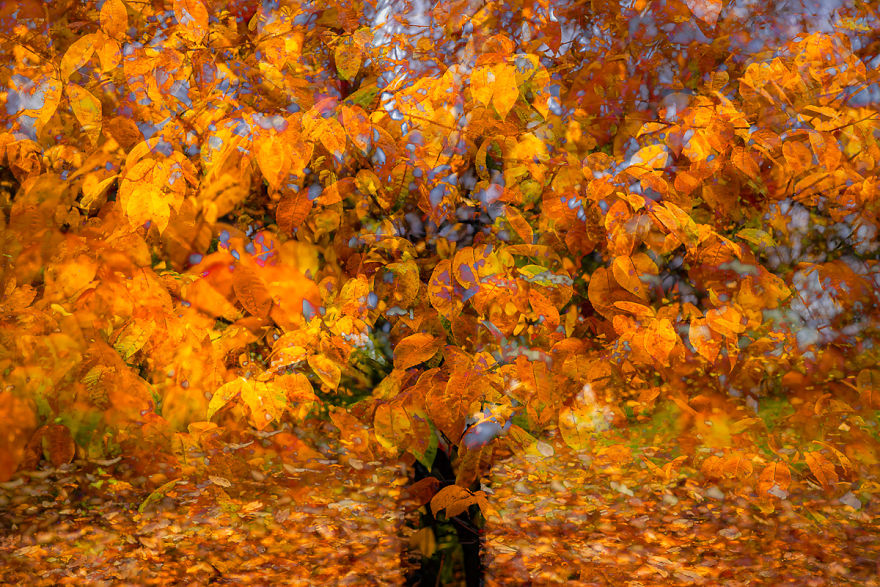 I Capture Layers Of Time In Nature I Capture Layers Of Time In Nature