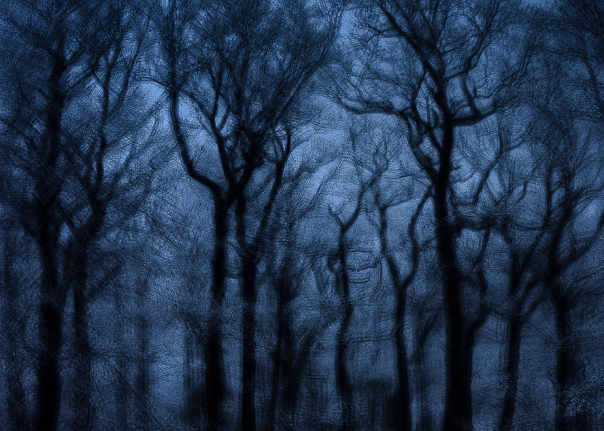 I Capture Layers Of Time In Nature I Capture Layers Of Time In Nature