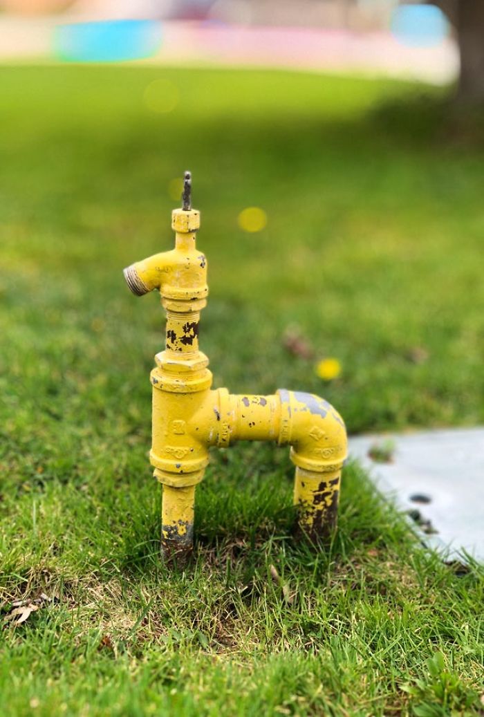 I Have Found Some Interesting Things People Upload On The Internet (20 Pics) I Have Found Some Interesting Things People Upload On The Internet (20 Pics)