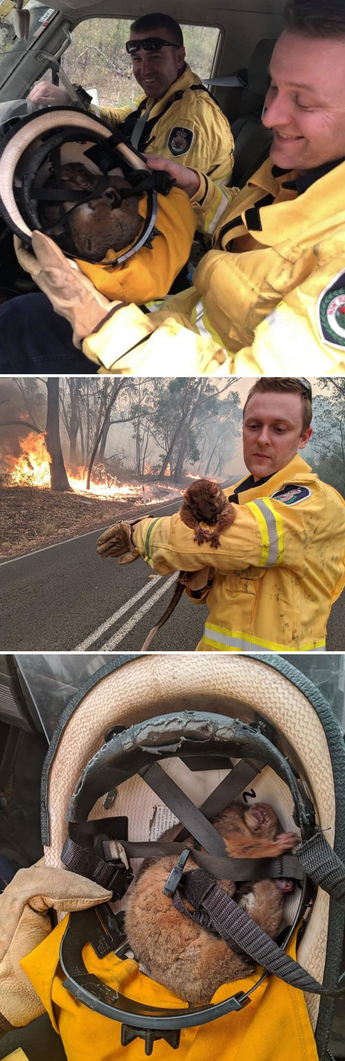 50 Pics That Sum Up The Hell On Earth That Is Taking Place In Australia 50 Pics That Sum Up The Hell On Earth That Is Taking Place In Australia