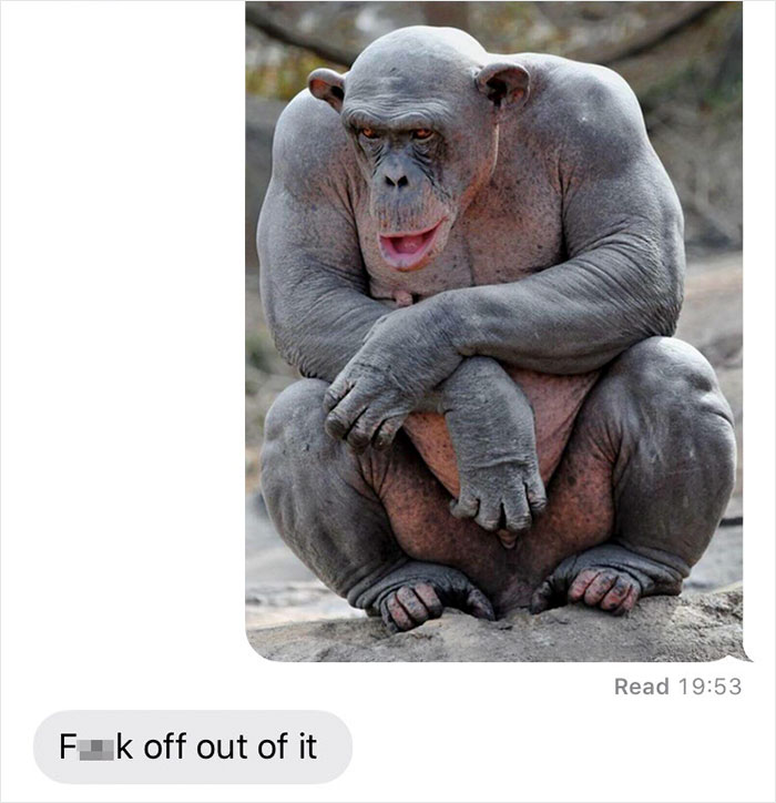 Girl Decides To Prank This Guy Who Gave Her His Number By Texting Him That He’d Just Adopted A Chimp Girl Decides To Prank This Guy Who Gave Her His Number By Texting Him That He’d Just Adopted A Chimp