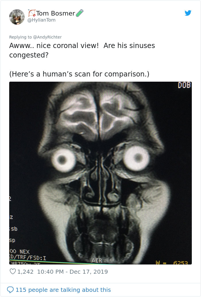 Someone Shows What A Pug’s MRI Scan Looks Like And It’s Pretty Terrifying Someone Shows What A Pug’s MRI Scan Looks Like And It’s Pretty Terrifying