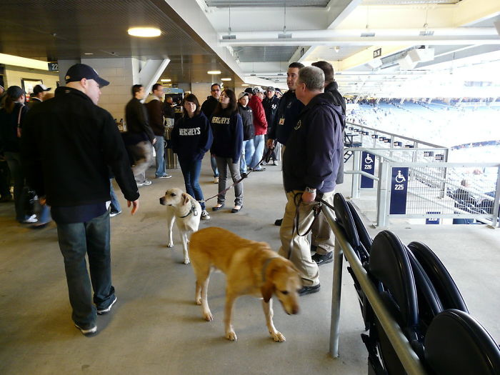 Here Are 30 Dog Facts That You Probably Didn’t Know Here Are 30 Dog Facts That You Probably Didn’t Know