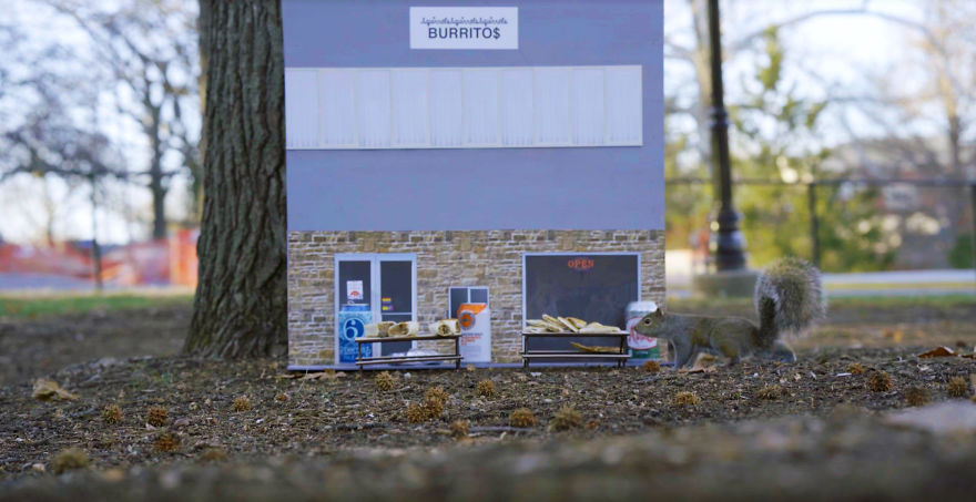 The First-Ever Food Joint For Squirrels Is Booming In Lexington, Kentucky The First-Ever Food Joint For Squirrels Is Booming In Lexington, Kentucky