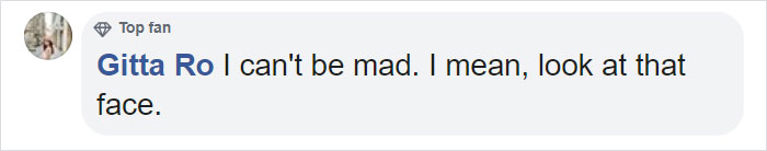 Cat Destroys A 2,432-Piece Doraemon Figure That Took Its Owner 7 Days To Make, Doesn’t Seem To Regret It Cat Destroys A 2,432-Piece Doraemon Figure That Took Its Owner 7 Days To Make, Doesn’t Seem To Regret It