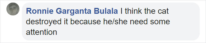 Cat Destroys A 2,432-Piece Doraemon Figure That Took Its Owner 7 Days To Make, Doesn’t Seem To Regret It Cat Destroys A 2,432-Piece Doraemon Figure That Took Its Owner 7 Days To Make, Doesn’t Seem To Regret It