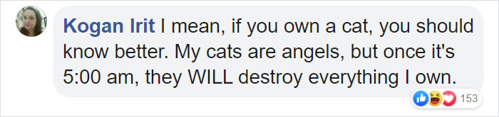 Cat Destroys A 2,432-Piece Doraemon Figure That Took Its Owner 7 Days To Make, Doesn’t Seem To Regret It Cat Destroys A 2,432-Piece Doraemon Figure That Took Its Owner 7 Days To Make, Doesn’t Seem To Regret It