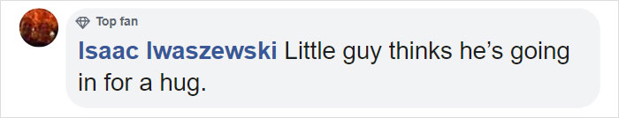 Cat Destroys A 2,432-Piece Doraemon Figure That Took Its Owner 7 Days To Make, Doesn’t Seem To Regret It Cat Destroys A 2,432-Piece Doraemon Figure That Took Its Owner 7 Days To Make, Doesn’t Seem To Regret It