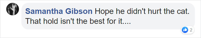 Cat Destroys A 2,432-Piece Doraemon Figure That Took Its Owner 7 Days To Make, Doesn’t Seem To Regret It Cat Destroys A 2,432-Piece Doraemon Figure That Took Its Owner 7 Days To Make, Doesn’t Seem To Regret It