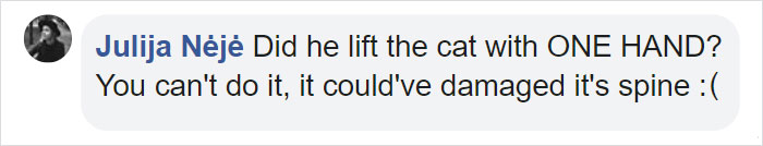 Cat Destroys A 2,432-Piece Doraemon Figure That Took Its Owner 7 Days To Make, Doesn’t Seem To Regret It Cat Destroys A 2,432-Piece Doraemon Figure That Took Its Owner 7 Days To Make, Doesn’t Seem To Regret It