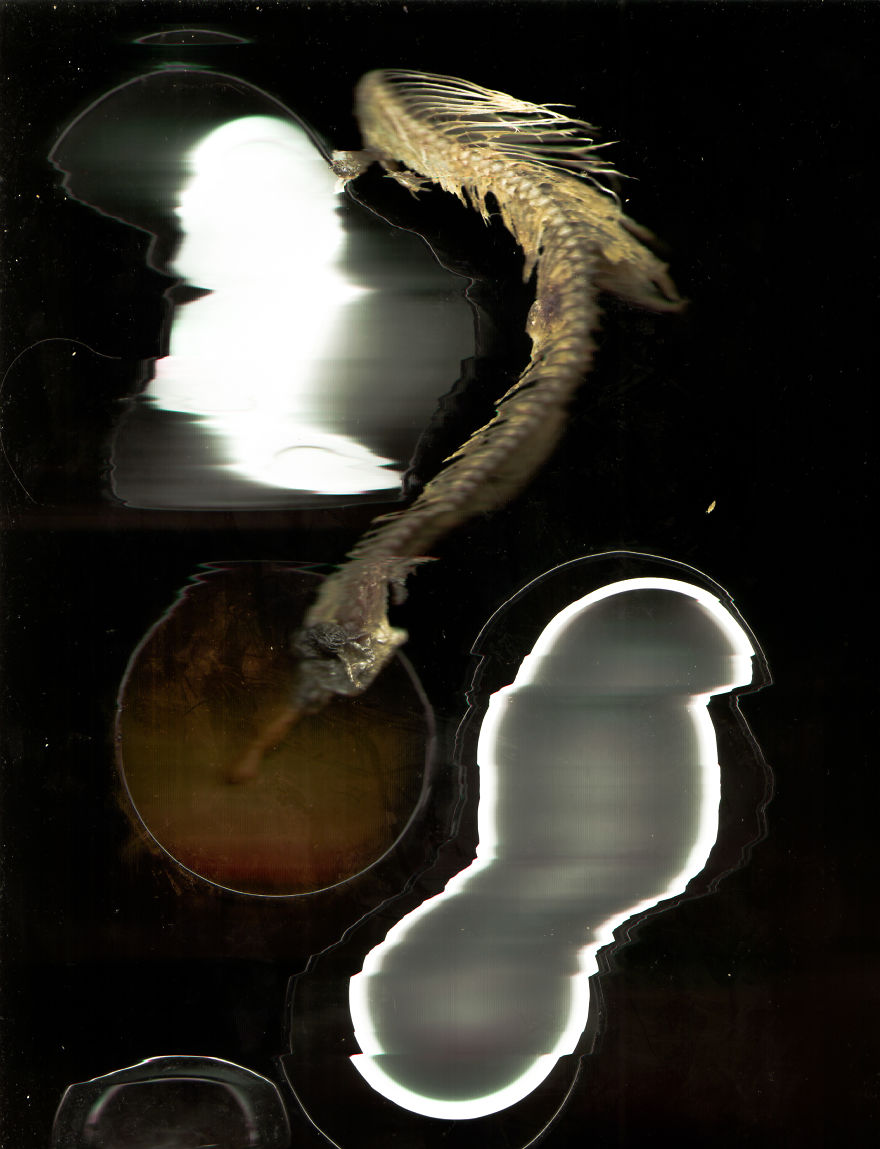 I Created A Fishy Magic Space Portal I Created A Fishy Magic Space Portal