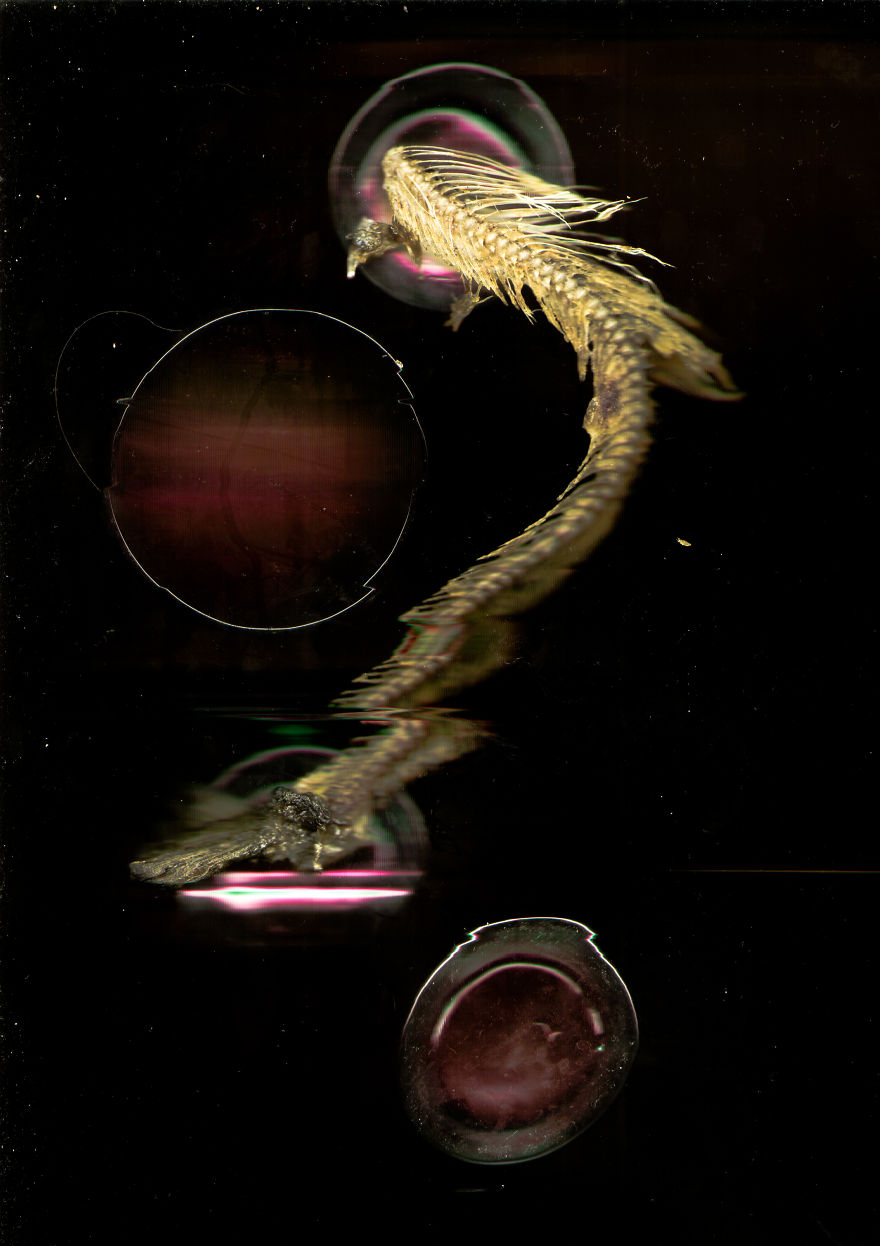 I Created A Fishy Magic Space Portal I Created A Fishy Magic Space Portal