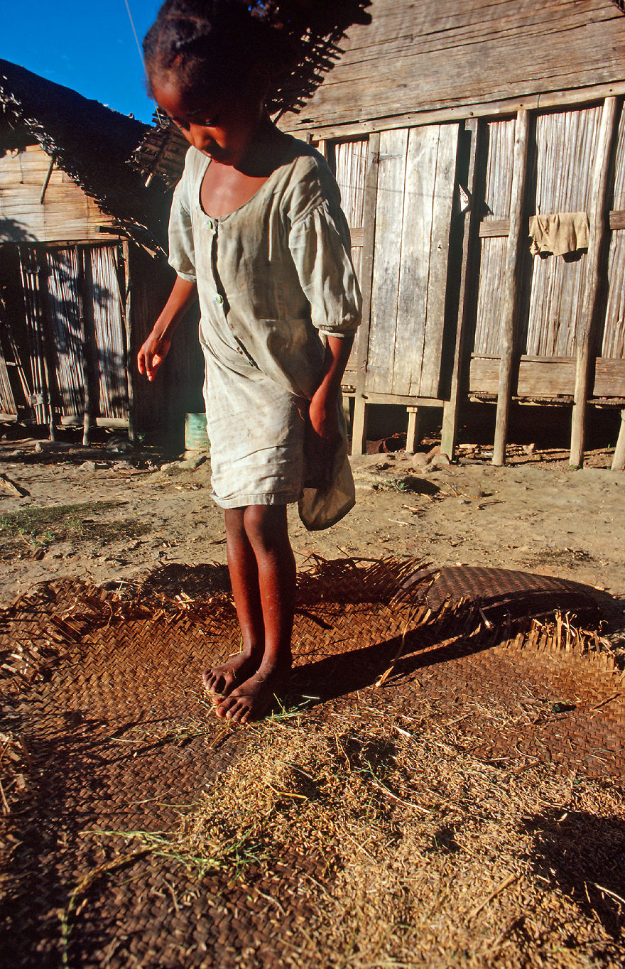 I Fell In Love With Madagascar – The Eighth Continent I Fell In Love With Madagascar – The Eighth Continent