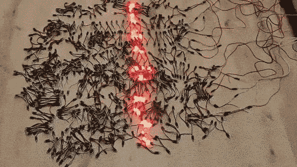 Engineer Shares A Video Of Christmas Tree Lights Turned Into A Snake Game Controlled With PS4 Controller Engineer Shares A Video Of Christmas Tree Lights Turned Into A Snake Game Controlled With PS4 Controller