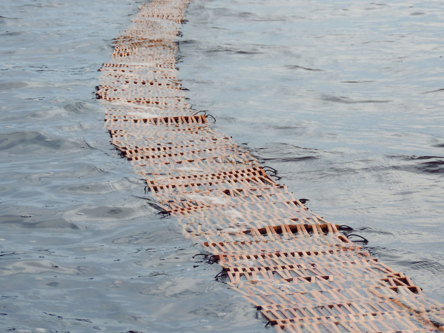 In The Distance A Great Black Caribou Passed In The Distance A Great Black Caribou Passed