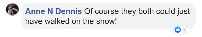 A Security Cam Captures This UPS Delivery Guy Being A Hero And Doing His Best To Deliver What He Has To A Security Cam Captures This UPS Delivery Guy Being A Hero And Doing His Best To Deliver What He Has To