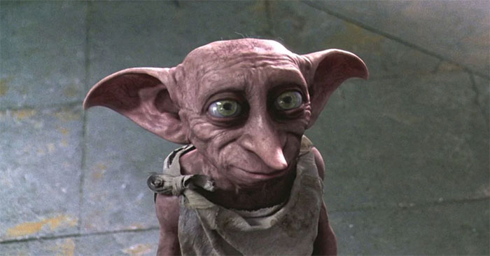 Almost Everyone Wants To Adopt This Very Special Kitty That Looks Like Baby Yoda Almost Everyone Wants To Adopt This Very Special Kitty That Looks Like Baby Yoda