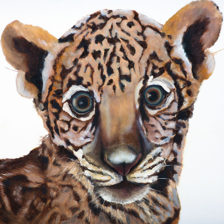 I Create These Wildlife Portrait Paintings I Create These Wildlife Portrait Paintings