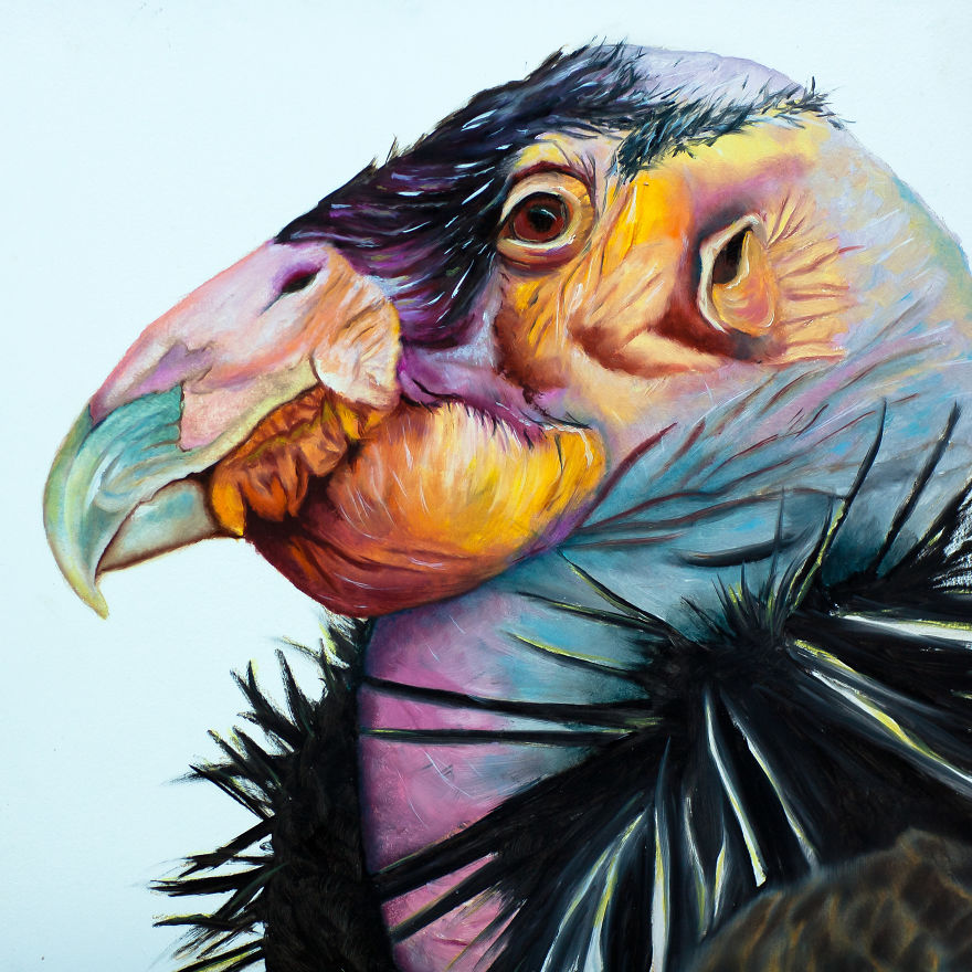 I Create These Wildlife Portrait Paintings I Create These Wildlife Portrait Paintings