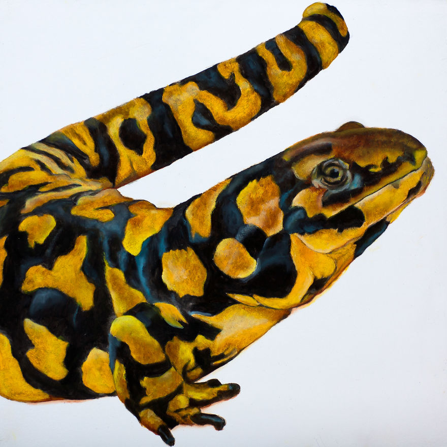 I Create These Wildlife Portrait Paintings I Create These Wildlife Portrait Paintings