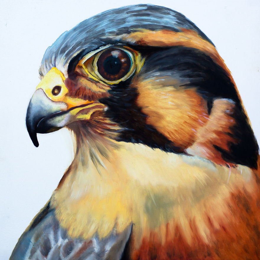 I Create These Wildlife Portrait Paintings I Create These Wildlife Portrait Paintings