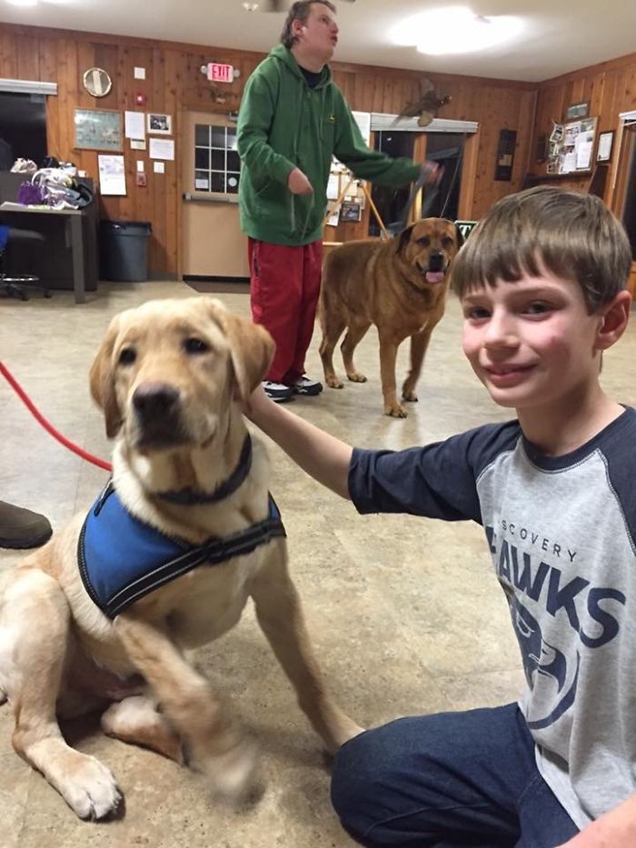 The Story Of My Service Doge, Chopper The Story Of My Service Doge, Chopper