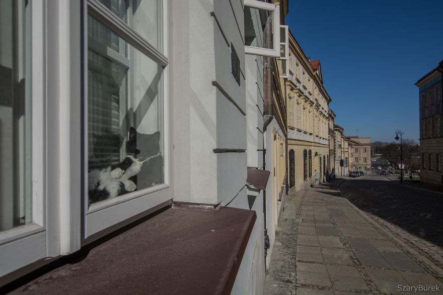 My 21 Pics Of What Coronavirus Has Done To Warsaw, Poland My 21 Pics Of What Coronavirus Has Done To Warsaw, Poland