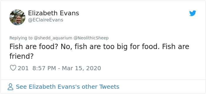 After Closing Down, This Aquarium Lets Its Penguins Go On A ‘Field Trip’ After Closing Down, This Aquarium Lets Its Penguins Go On A ‘Field Trip’