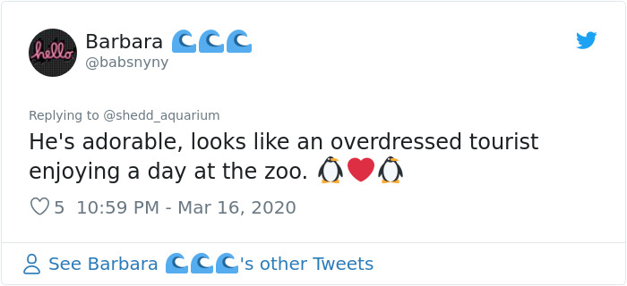 After Closing Down, This Aquarium Lets Its Penguins Go On A ‘Field Trip’ After Closing Down, This Aquarium Lets Its Penguins Go On A ‘Field Trip’