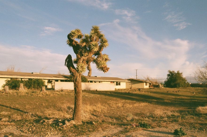 I’d Been Wanting To Photograph This Abandoned Air Force Base For A Long Time And I Finally Did (13 Pics) I’d Been Wanting To Photograph This Abandoned Air Force Base For A Long Time And I Finally Did (13 Pics)
