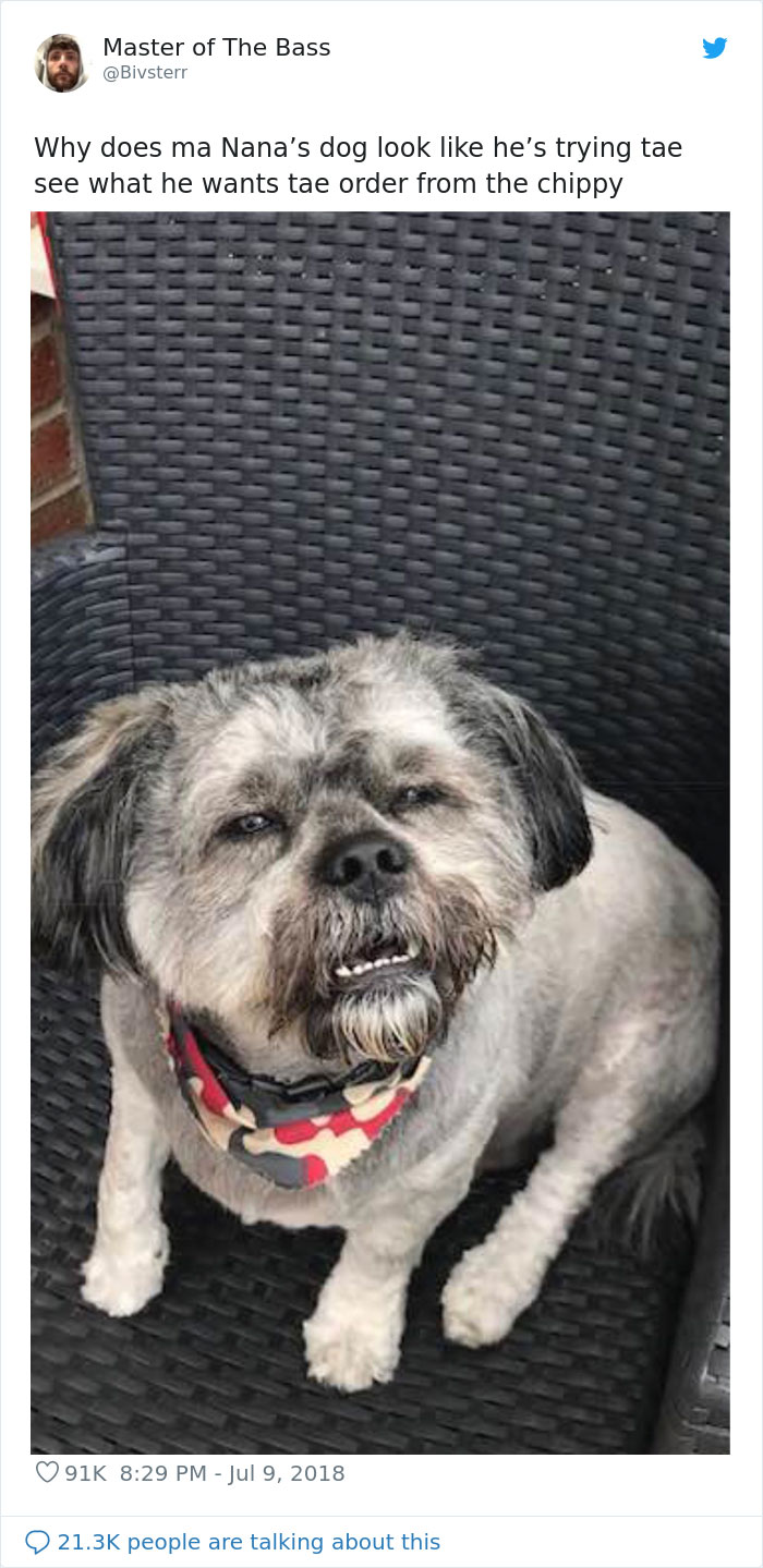 40 Times Scottish People Proved They Have The Best Sense Of Humor