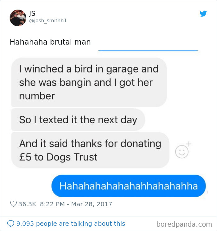 40 Times Scottish People Proved They Have The Best Sense Of Humor