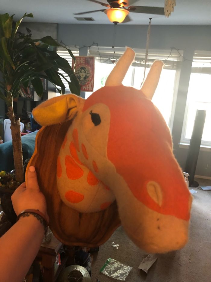 Hey Pandas, What Is The Weirdest Thing You Own? (Ended)