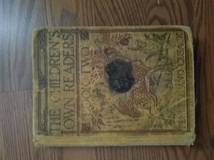 Hey Pandas, What Is The Weirdest Thing You Own? (Ended)