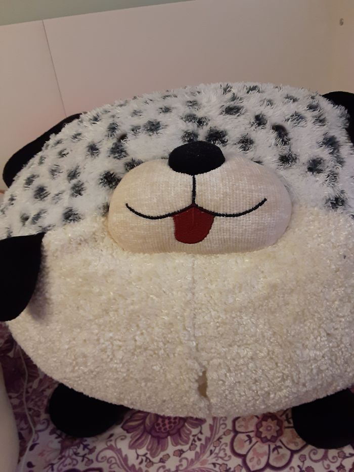Hey Pandas, What Is The Weirdest Thing You Own? (Ended)