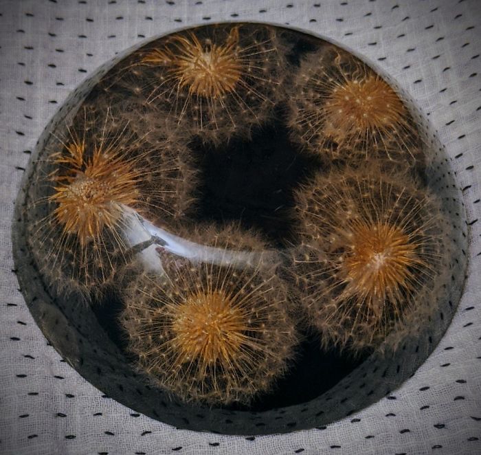 Hey Pandas, What Is The Weirdest Thing You Own? (Ended)