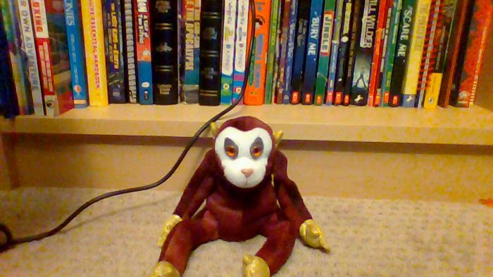 Hey Pandas, What Is The Weirdest Thing You Own? (Ended)