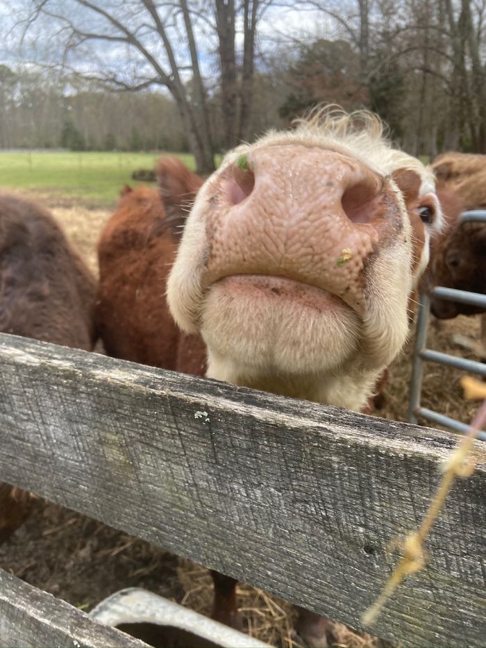 Hey Pandas, What Is The Weirdest Thing You Own? (Ended)