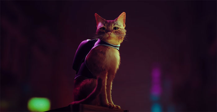 New PS5 Game ‘Stray’ Lets You Be A Cat In A Neon-Lit Cybercity And Solve Mysteries In It New PS5 Game ‘Stray’ Lets You Be A Cat In A Neon-Lit Cybercity And Solve Mysteries In It