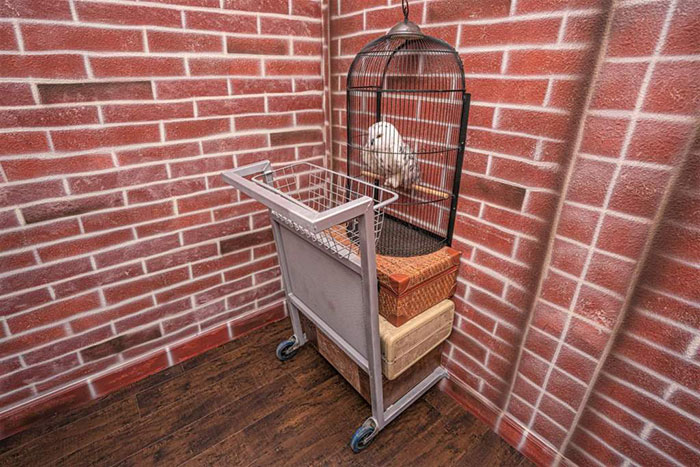 You Can Stay In A Massive Harry Potter Themed House Just 30 Minutes Away From The Wizarding World Of Harry Potter You Can Stay In A Massive Harry Potter Themed House Just 30 Minutes Away From The Wizarding World Of Harry Potter
